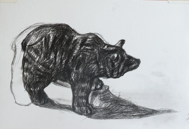 beer tekenen, tekening beer