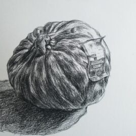 pompoen tekening van een biologische pompoen black and white drawing pumpkin