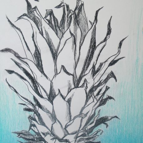 drawing pineapple tekening ananas blue ananas colourpencil drawing of a pineapple