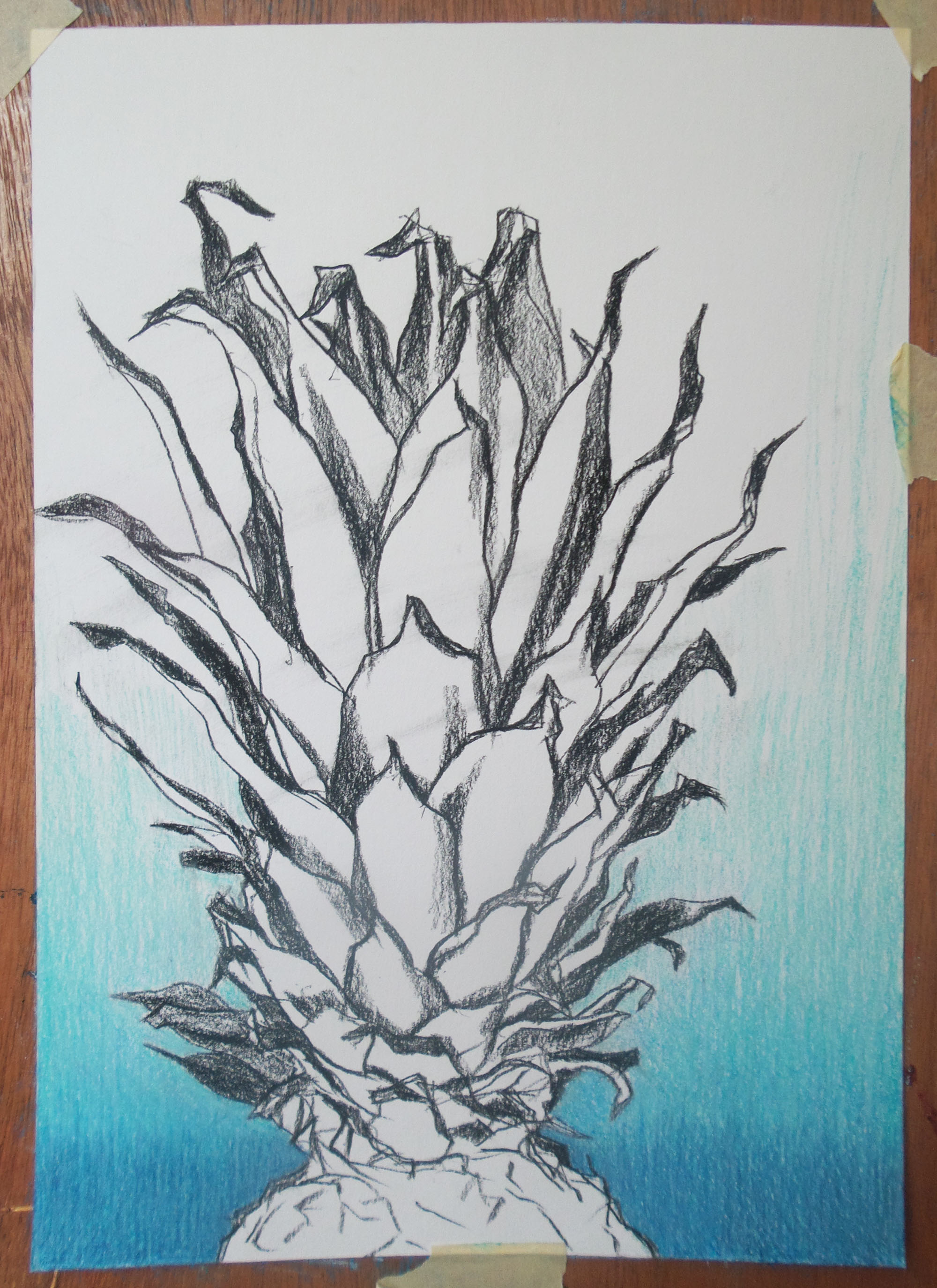 tekening ananas blue ananas colourpencil drawing of a pineapple
