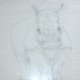 white rhino, 100 x 100 cm, tekening neushoorn op doek,